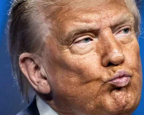 Trump vs Reality Overview: Few Channel Would Dare TV So Bold (and) Mind-Numbing