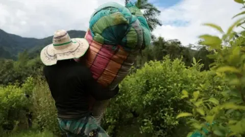 America Classifies the South American Nation as Failing to Cooperate in Anti-Drug Efforts