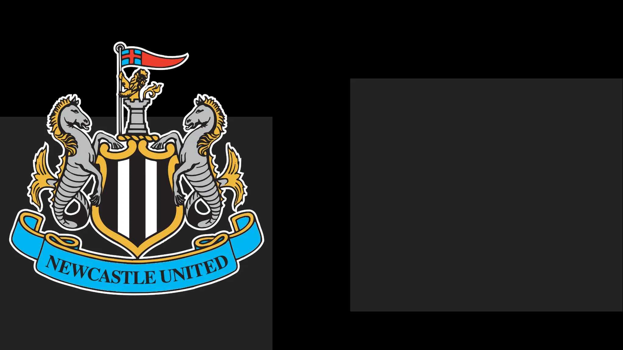 Newcastle's boss Hails Team's Heart – However That Only Carries Them This Far