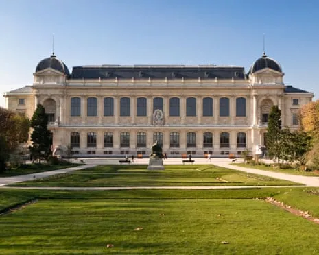 Priceless Golden Pieces Snatched in Audacious Heist at France's Natural History Institution